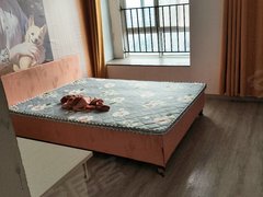滁州琅琊国际商城无中介,主卧,,拎包入住,有无线网,可做饭,出租房源真实图片