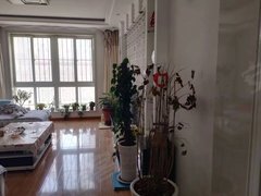 平凉崆峒崆峒城区新裕花园 2居室 家具家电齐全 出租 拎包入住出租房源真实图片
