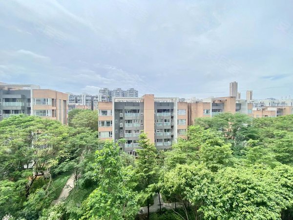 广州白云白云大道北新世界嘉云府嘉云府精装轻奢风一梯两户居住环境