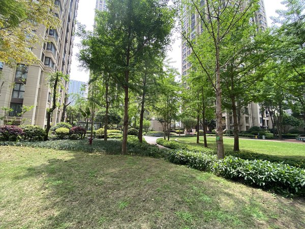 重庆沙坪坝西永龙湖好城时光一号线地铁站旁边的房子,家具家电齐全