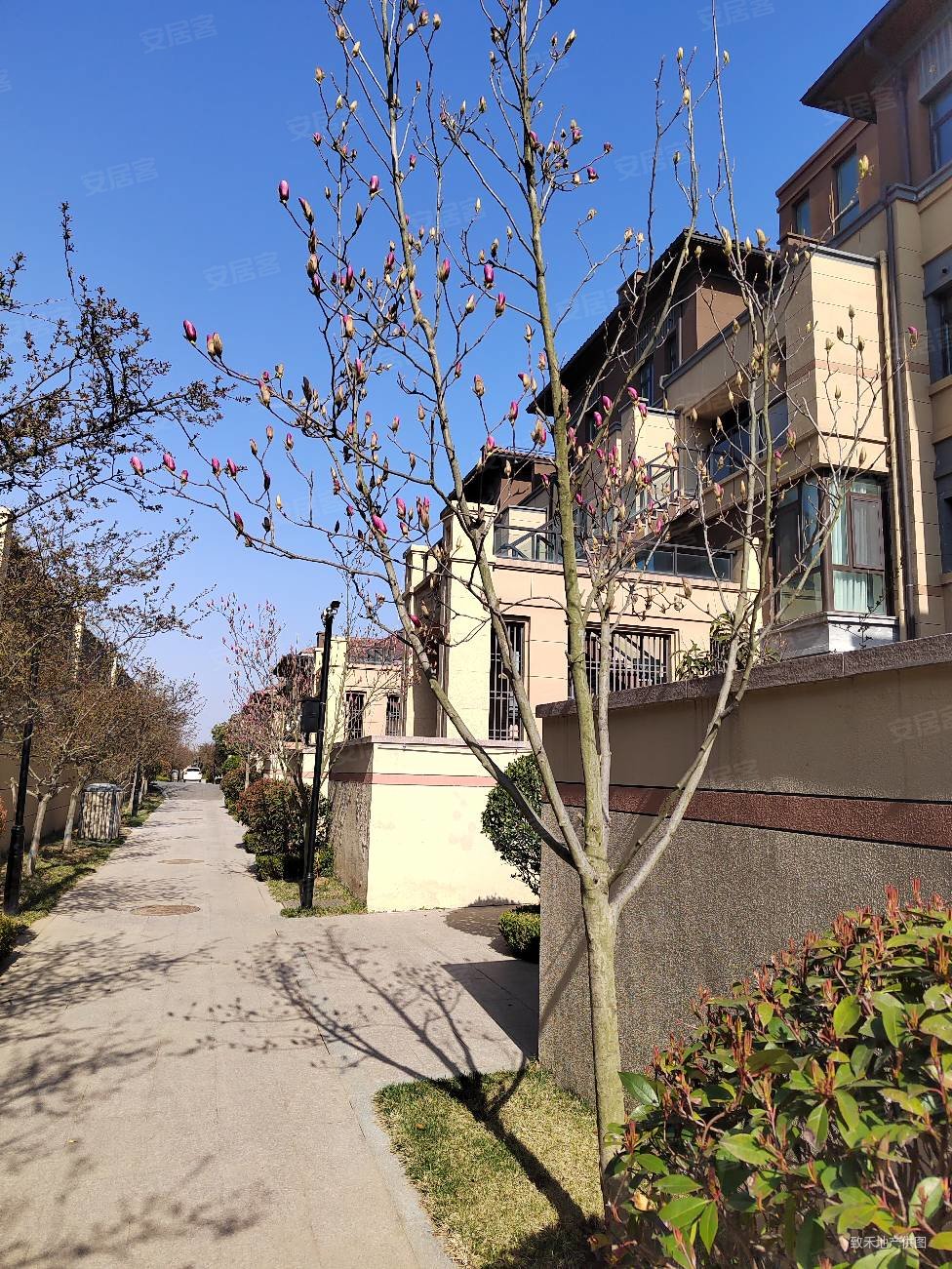 海信温泉王朝(别墅)二手房,179万,3室2厅,2卫,160平米-青岛安居客