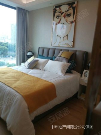 梅溪湖 汽车西站 正地铁口 达美中心 精装修小公寓 不限购