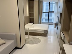 徐州铜山铜山新区可短租月付 金水湾 珍宝岛 壹号街区 徐工汽车徐工消防 一室出租房源真实图片