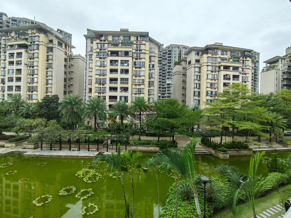 广州番禺广州雅居乐广州雅居乐花园雅悦庭急租!