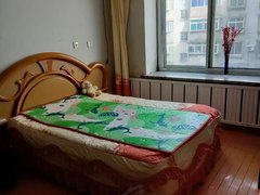 丹东振兴其它红房小区 1室 4楼 700包取暖 季度付 有空调出租房源真实图片