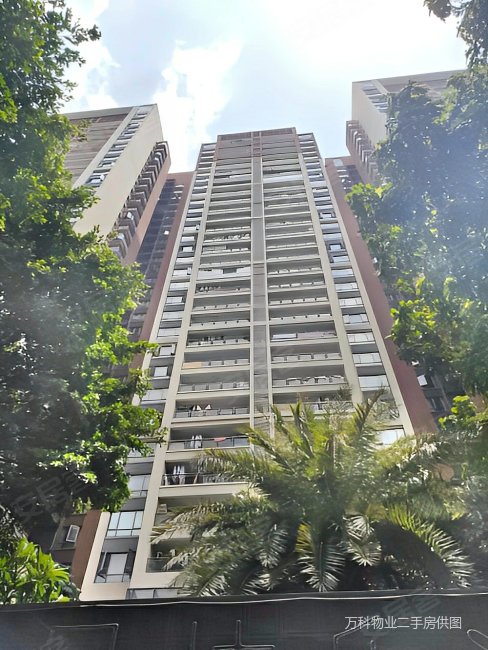 采光通透 配套齐全 双卫生间 豪华品质小区严格管理,万科金域华府二手