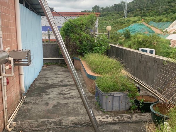 深圳龙岗横岗安良五村安良六村两层5房一厅出租出租房源真实图片