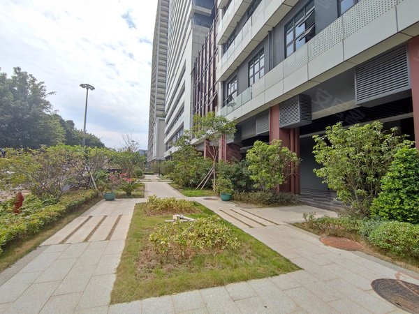 广州海珠广州塔紫星华府房源采光好,南北通透,业主诚意出出租房源真实