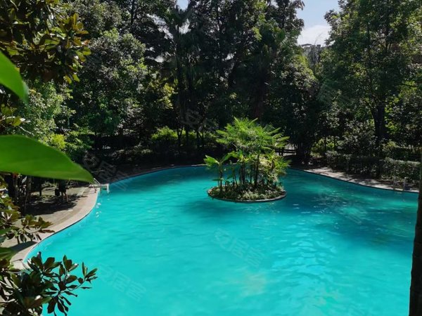 重庆万州万州区观音岩欧典花园欧典花园一室一厅精装修出租出租房源