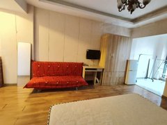 武汉沌口开发区沌口周边和居名爵民水民电天然 1室1厅1卫  电梯房 精装修49平米出租房源真实图片