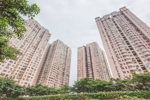 龙珠花园(龙岗)