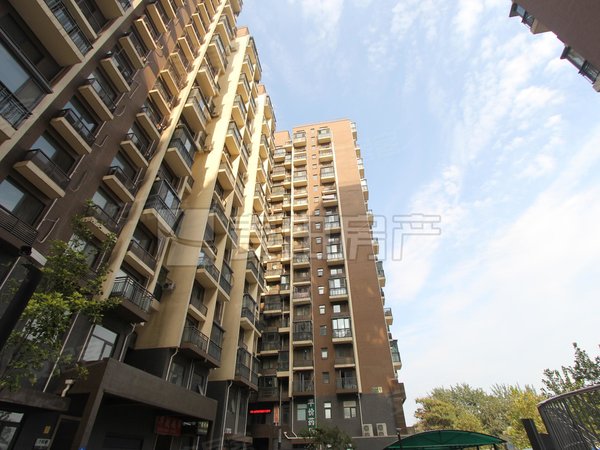 【多图】中海城紫鑫阁,十里河租房,国贸六站地 地铁十号线 下楼就是