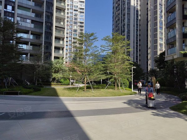 深圳宝安后亭嘉富新禧沙井网红小区,嘉福新禧,租金美丽,多套出租,车位