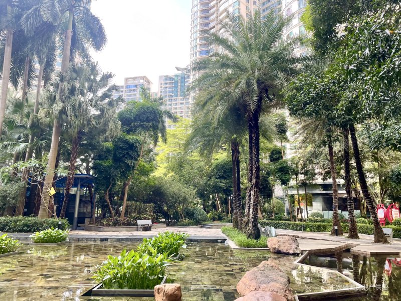 126平东南向,鸿翔花园,急售空间大,有钥匙