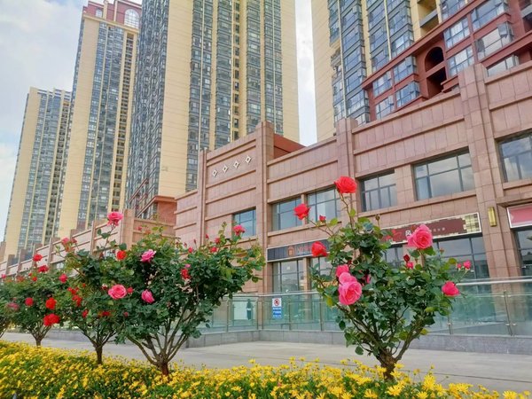 昆明官渡国贸中心米兰春天国贸万象城商圈近地铁米兰春天精装二房干净