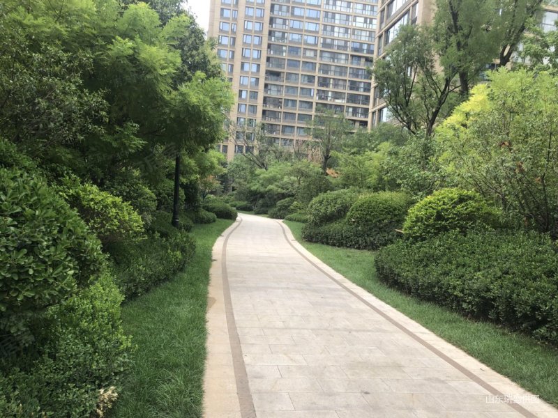 板楼满五双卫精装可拎包入住产权清晰电梯房