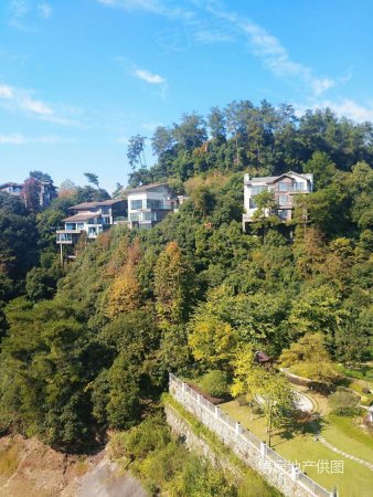 翡翠岛别墅,位于千岛湖广场附近, 不限购,不限贷,独栋别墅.