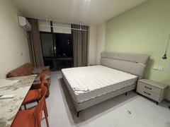 安吉递铺博瑞广场出租：梅花岛旁 宁馨花园独门独户精装单身公寓 包物业 包网络出租房源真实图片