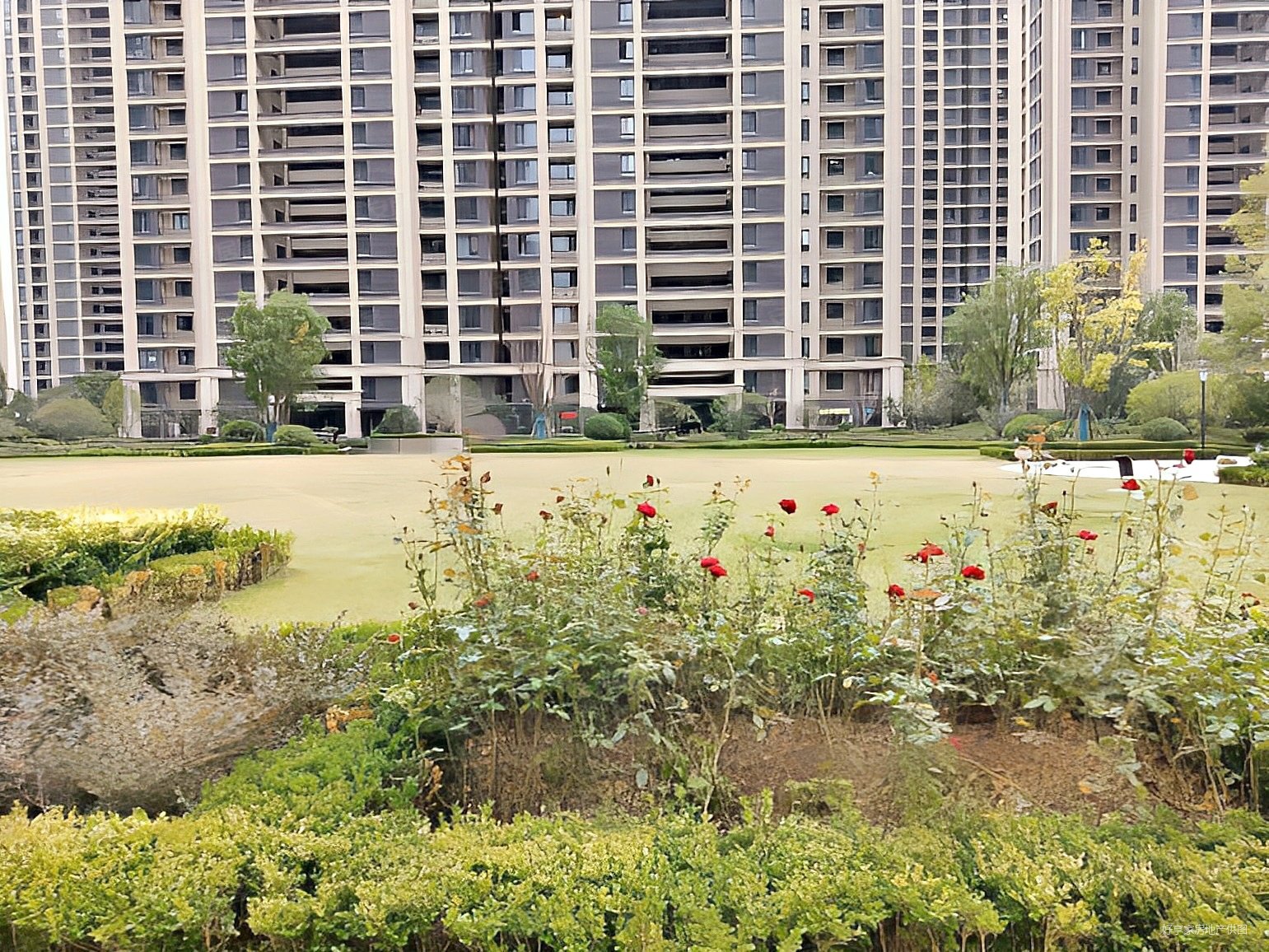 草滩尚稷路绿城桂语兰庭4室2厅2卫