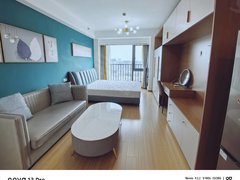 永康东城旅游商场上和府公寓 精装电梯房 看房联系我出租房源真实图片