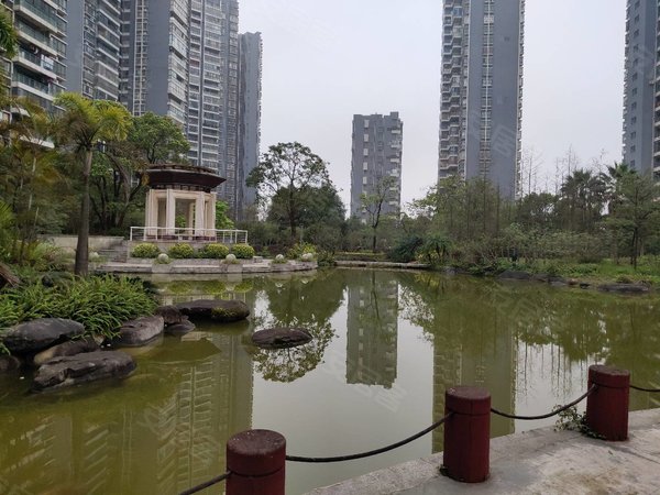 南宁青秀柳沙半岛半山半岛半山江景两房出租 配齐 房子新 采光好 拎包