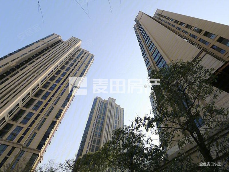 五缘湾 国贸天琴湾 大户型 大露台 房东诚意卖