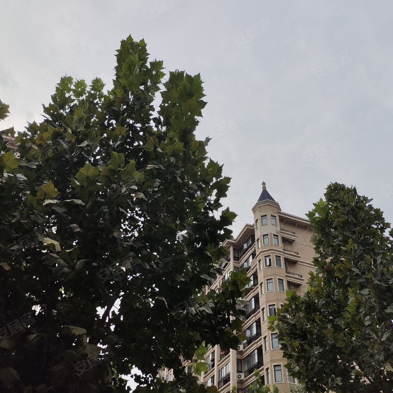 【锦艺四季城香晴苑, 锦艺四季城香晴苑小区详情,房价走势,房源,业主