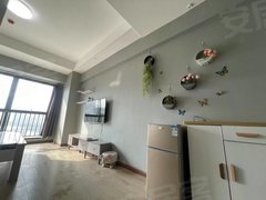 广元利州万达广场押一付一 短租 万达广场  精装电梯单身公寓江景房套一！出租房源真实图片