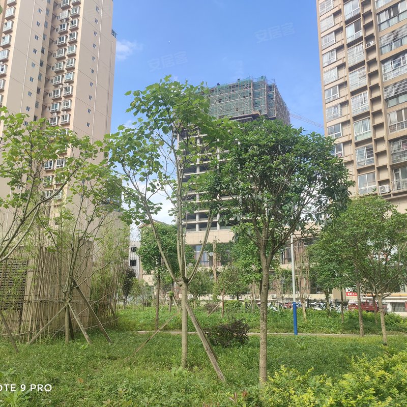 【君悦国际, 君悦国际小区详情,房价走势,房源,业主论坛】- 遵义58