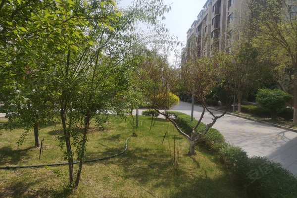 京能天下川(公寓住宅)