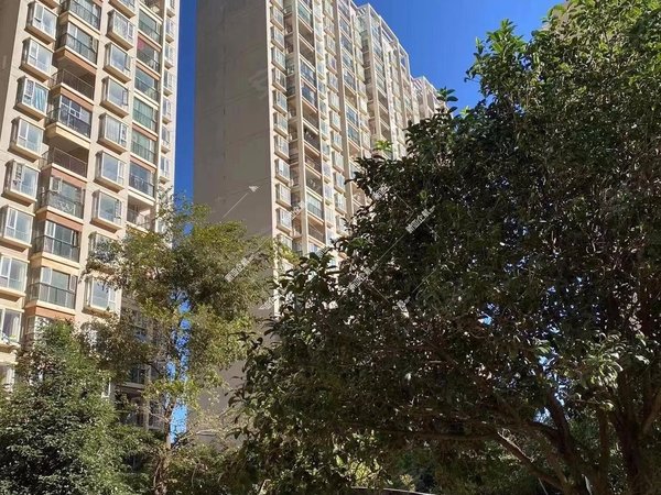 昆明呈贡大学城天润康园北区天润康园北区 4室2厅 可季度付 可租半年