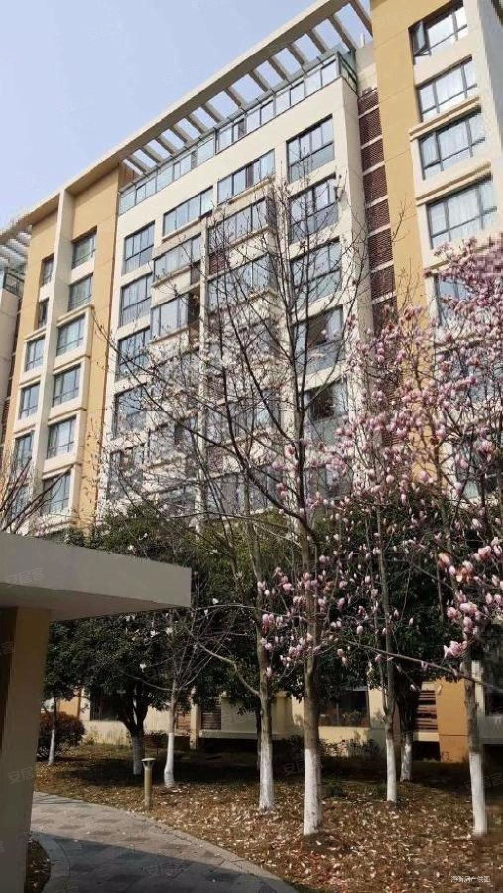 金鸡湖畔金鸡湖花园顶楼大复式带露台全新毛坯看湖景