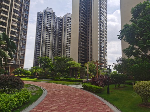 【多图】东江逸珑湾,新塘租房,东江逸珑湾 3室2厅2卫 电梯房 116平米