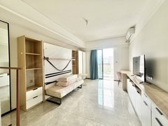 东莞南城石竹保利珑远国际广场 1室0厅1卫  电梯房 精装修39平米出租房源真实图片