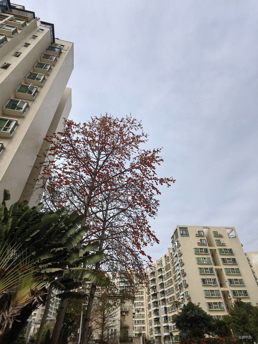 金田花园次新房出售拎包入住