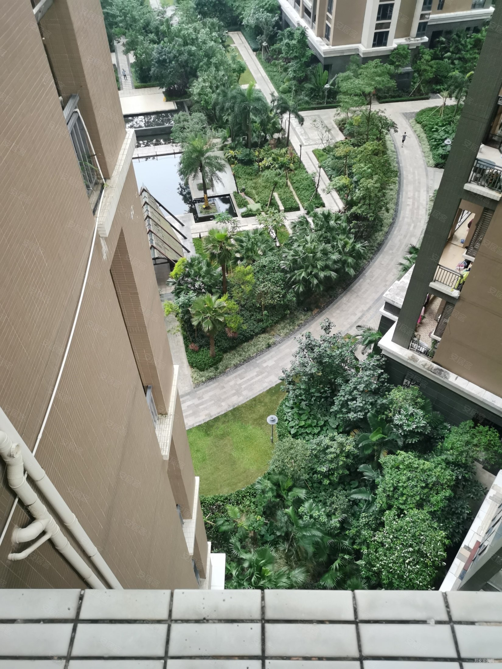 必看好房 吉大公园豪宅锦园南北通全新三房 格局方正 闹中取静