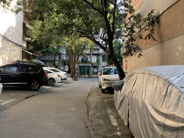 南宁青秀新竹新竹小区双公园麻村地铁站旁 新竹小区 2房 60平 精装