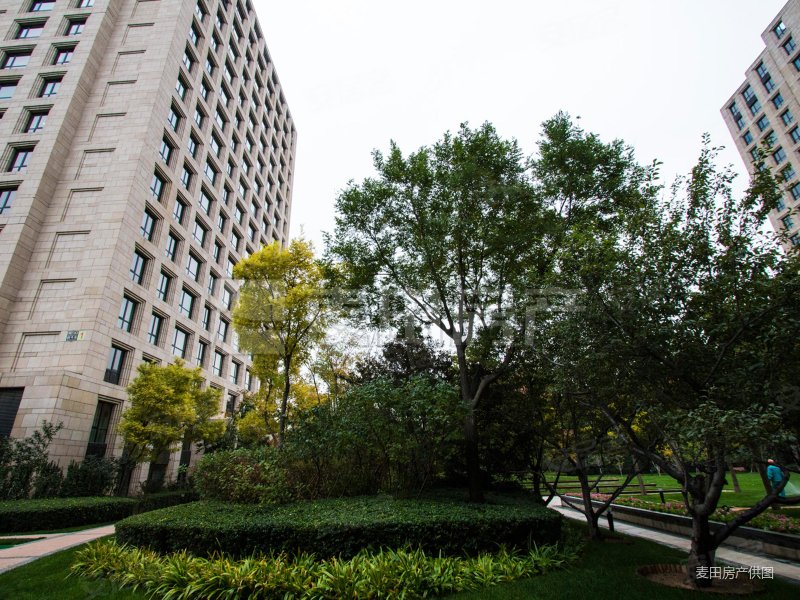 为什么不买金茂府!