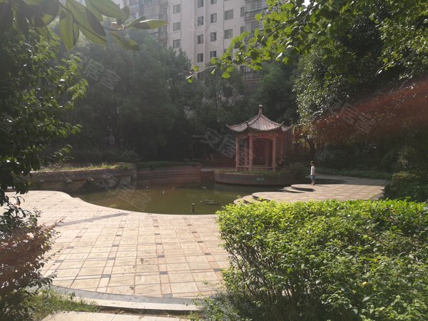 鑫天山水洲城,友谊路159号-长沙鑫天山水洲城二手房,租房-长沙安居客