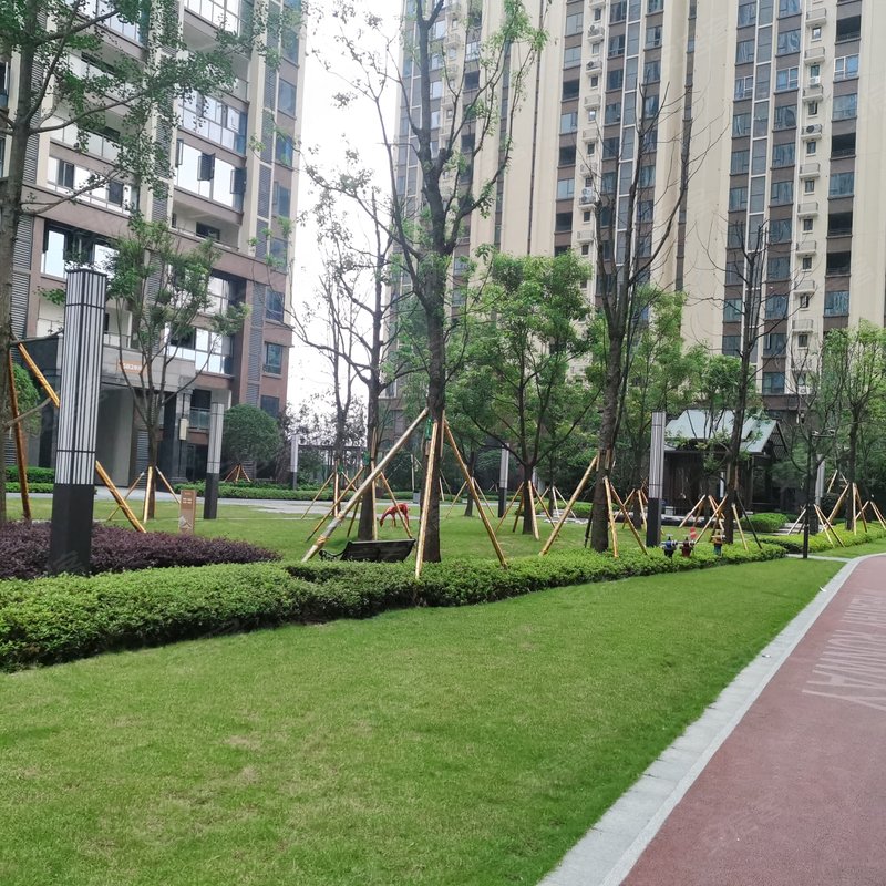 【正黄金域香江, 正黄金域香江小区详情,房价走势,房源,业主论坛】