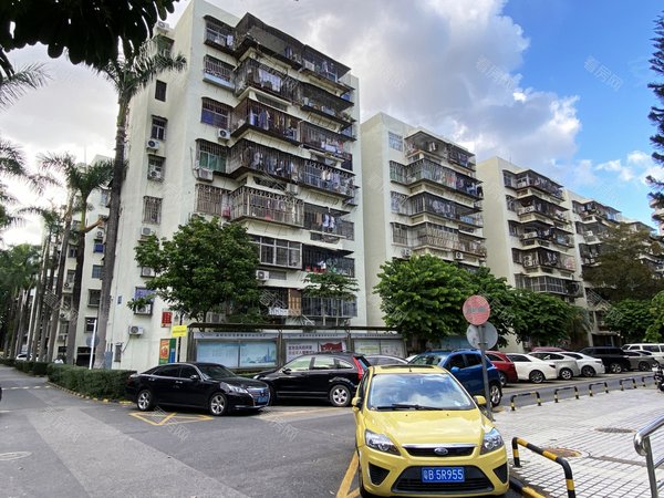 深圳福田华强北红荔村住宅区红荔村 新推三房户型,方正实用,目前已经