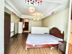 杭州西湖西湖三墩自住复古装修 超大一室一厅出租房源真实图片