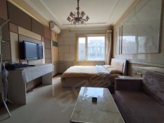 柏林空调房一室公寓，长租价格可谈。