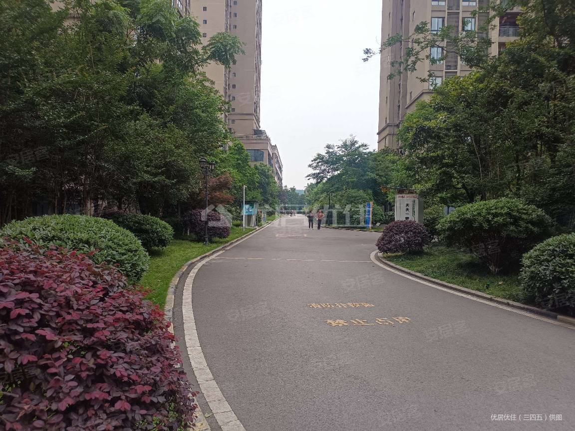 区政府广场旁金九南滨花园南滨路小学东津沱滨江公园