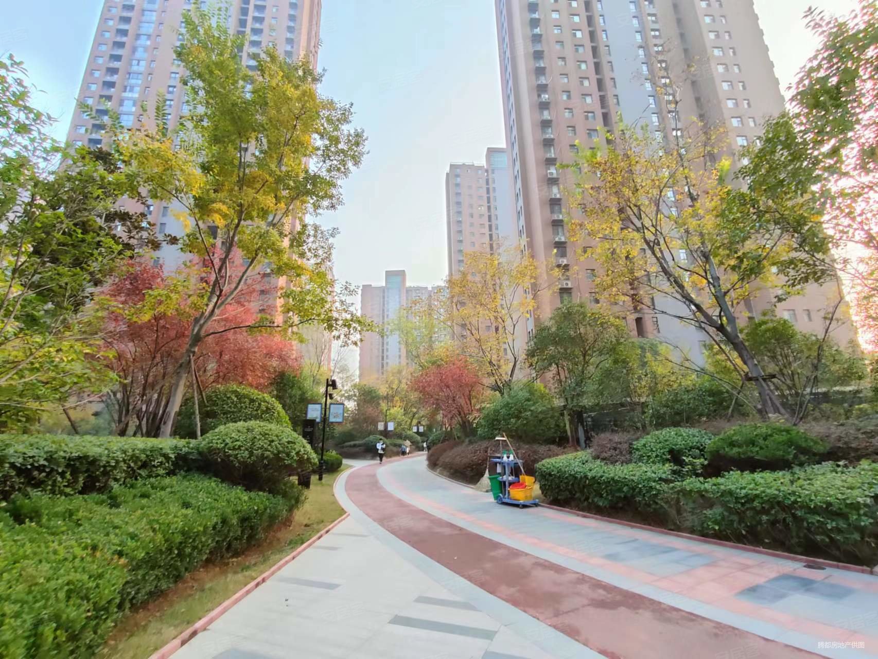 绿都紫荆华庭雅园3室2厅1卫99㎡西南143万