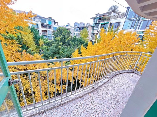 成都高新区南延线怡丰新城无中介!