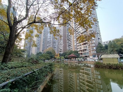 龙城国际,汇兴路 - 自贡龙城国际二手房,租房,房价-自贡安居客