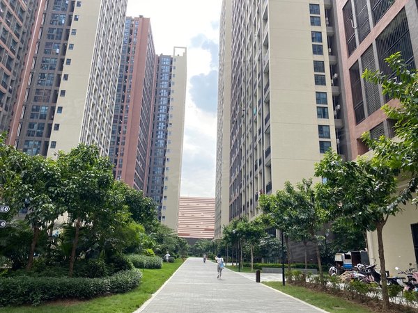 佛山南海金沙洲万益广场(一三期)金沙洲万益广场南向新两房网红公寓