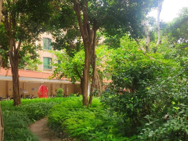 广州番禺大石金城花园大石金城花园小区 电梯精装2室1厅 南北通透