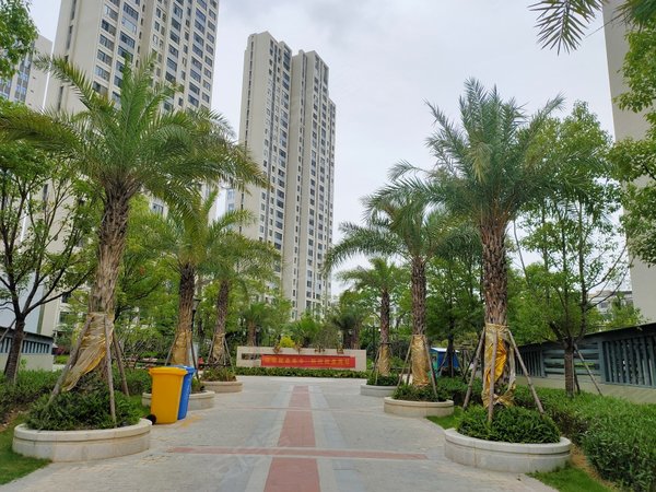 泉州晋江体育中心象峰小区万达旁,象峰小区,2室出租,配件齐全拎包入住